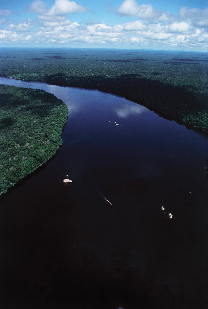 The Negro River, the Amazon's main tributary, begins at the border between Venezuela and Colombia. It is the greatest dark-water river in the world.